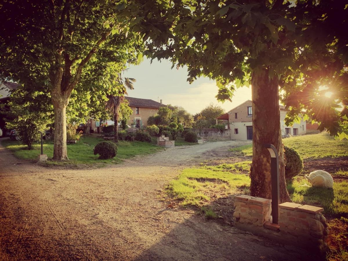Domaine Des Jammetous - Hotel And Yoga Retreat Center La Magdelaine-Sur-Tarn Bagian luar foto
