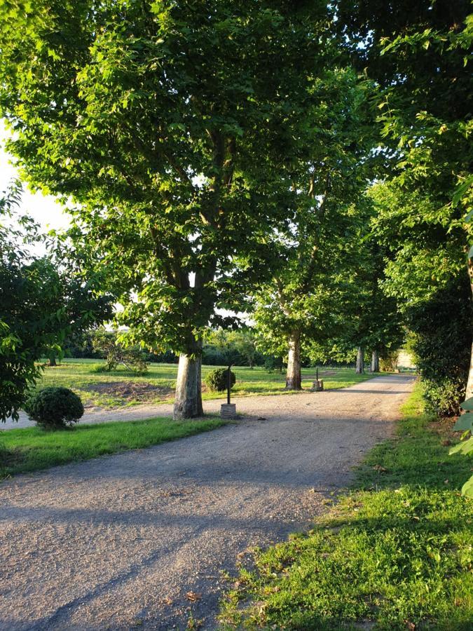 Domaine Des Jammetous - Hotel And Yoga Retreat Center La Magdelaine-Sur-Tarn Bagian luar foto